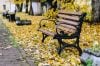 ВІДНОВЛЕННЯ МЕТАЛЕВИХ ПРЕДМЕТІВ
