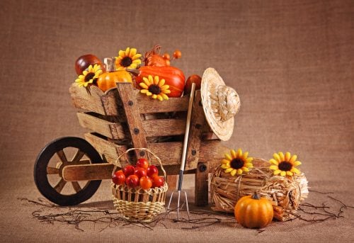 Keep calm and love autumn